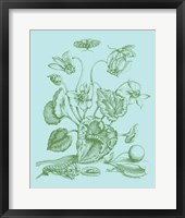Spring Cyclamen I Framed Print