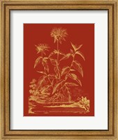 Framed Paprika Bouquet II