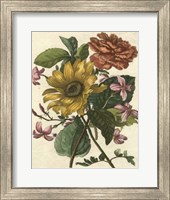 Framed Floral Posy I