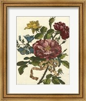 Framed Floral Posy II