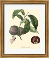 Framed Plums