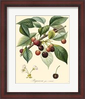 Framed Cherries