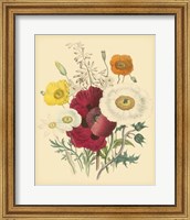 Framed Garden Bouquet II