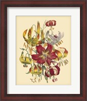 Framed Garden Bouquet III