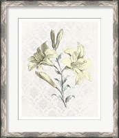 Framed Victorian Blooms III