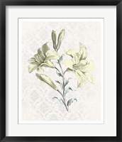 Framed Victorian Blooms III