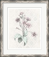Framed Victorian Blooms IV