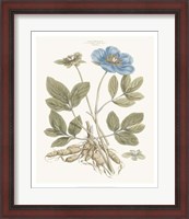 Framed Bashful Blue Florals I