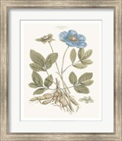 Framed Bashful Blue Florals I