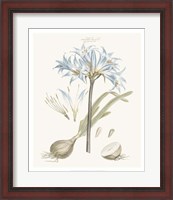 Framed Bashful Blue Florals II