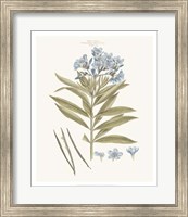 Framed Bashful Blue Florals III