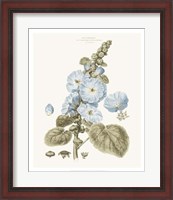 Framed Bashful Blue Florals IV