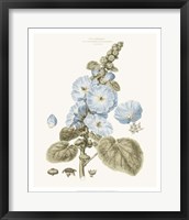Framed Bashful Blue Florals IV