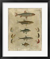 Pisces Composition I Framed Print