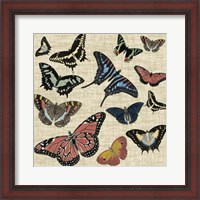 Framed Butterflies & Linen I