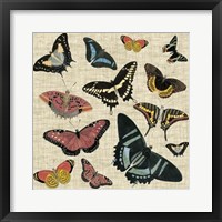 Butterflies & Linen II Framed Print