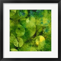 Nautilus in Green I Framed Print