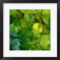 Nautilus in Green II Framed Print