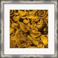 Framed Nautilus in Gold I
