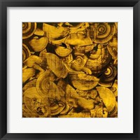 Framed Nautilus in Gold I