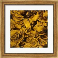 Framed Nautilus in Gold II