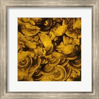 Framed Nautilus in Gold II