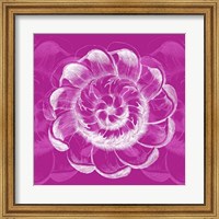 Framed Chromatic Rosette I