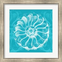 Framed Chromatic Rosette III