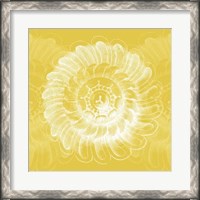 Framed Chromatic Rosette IV