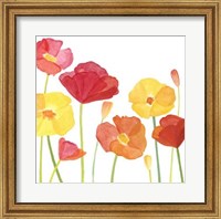 Framed Simply Poppies I