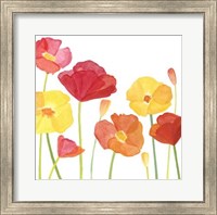 Framed Simply Poppies I