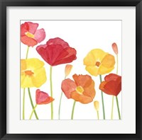 Simply Poppies I Framed Print