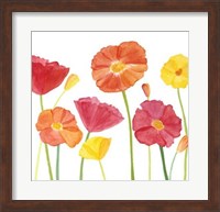 Framed Simply Poppies II