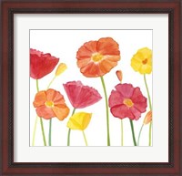 Framed Simply Poppies II