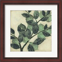 Framed Graphic Leaves I