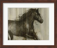 Framed Dynamic Stallion I