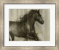 Framed Dynamic Stallion I