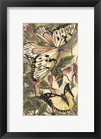 Framed Dancing Butterfly II