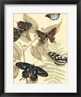 Graphic Butterflies in Nature II Framed Print