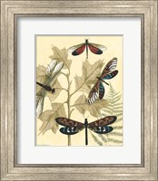 Framed Graphic Dragonflies in Nature I