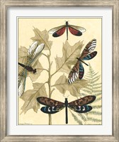 Framed Graphic Dragonflies in Nature I