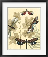 Graphic Dragonflies in Nature I Framed Print