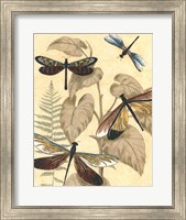 Framed Graphic Dragonflies in Nature II