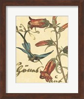 Framed Hummingbird Reverie I