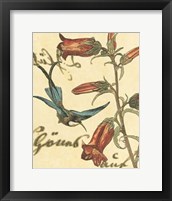 Framed Hummingbird Reverie I
