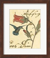 Framed Hummingbird Reverie III