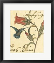 Framed Hummingbird Reverie III