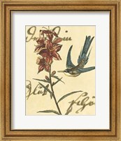 Framed Hummingbird Reverie IV