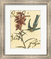 Framed Hummingbird Reverie IV