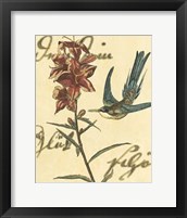 Framed Hummingbird Reverie IV